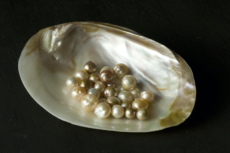 DNA Fingerprinting Technology to Identify Species of Pearl