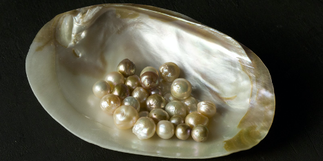 DNA Fingerprinting Technology to Identify Species of Pearl