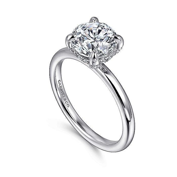 14K White Gold Daniele Round Diamond Hidden Halo Engagement Ring