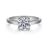 14K White Gold Daniele Round Diamond Hidden Halo Engagement Ring