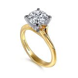 14K White And Yellow Gold Ellis Round Diamond Engagement Ring