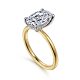 14K Yellow And White Gold Cari Hidden Halo Oval Natural Diamonds Natural Diamonds Engagement Ring