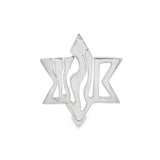 JT ESTATE Sterling Silver Star of David Pendant
