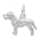 Sterling Silver Labrador Charm
