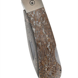 Lockback Damascus Steel Pocket Knife With Dinosaur Bone Handle