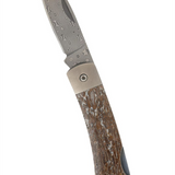 Lockback Damascus Steel Pocket Knife With Dinosaur Bone Handle