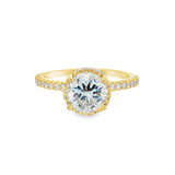 14K Yellow Gold 'Senne' Hidden Halo Round Diamond Engagement Ring