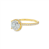 14K Yellow Gold 'Senne' Hidden Halo Round Diamond Engagement Ring