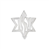 JT ESTATE Sterling Silver Star of David Pendant