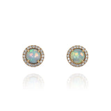 18K Rose Gold Opals Halo Earrings